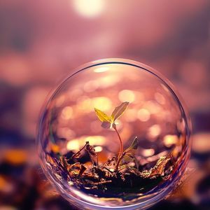 Meet your Posher, Aliser